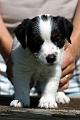 100628_romeo etu